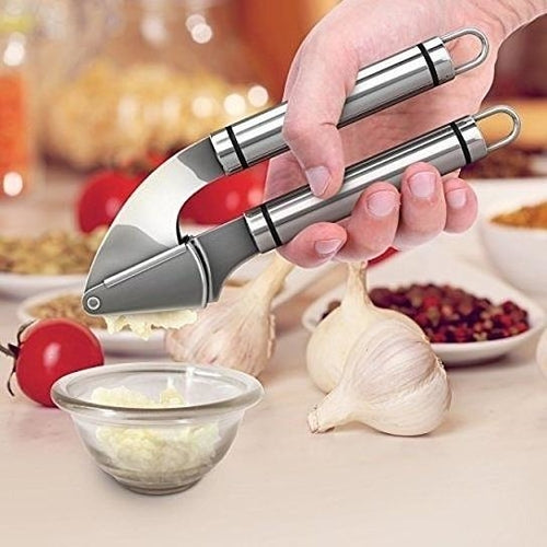 Stainless Steel Garlic Press & Crusher